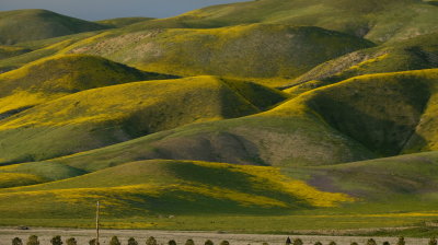 DSCF1565.JPG