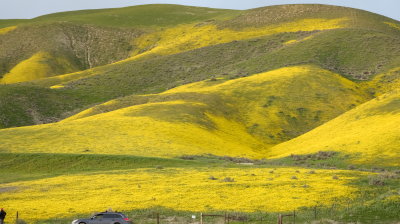 Spring Is In the Air At Carrizo Plain National Monument, Santa Margarita, CA - 03/03/19