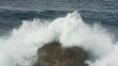 DSCF1744.JPG