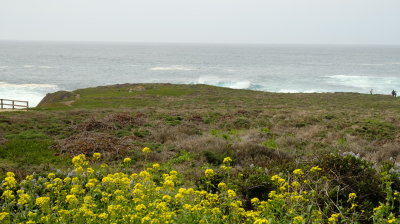 DSCF1751.JPG