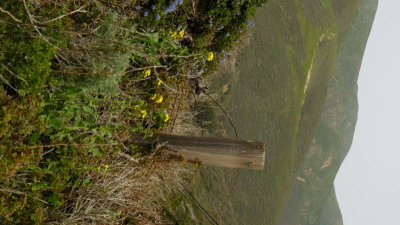 DSCF1755.JPG