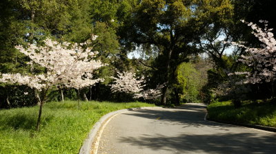 DSCF1790.JPG