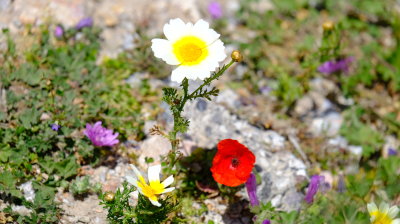 DSCF3332.JPG