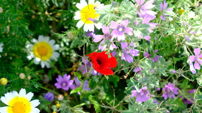 DSCF3357.JPG