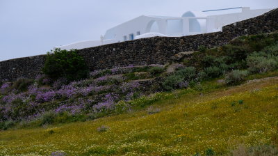 DSCF3372.JPG