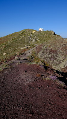 DSCF3538.JPG