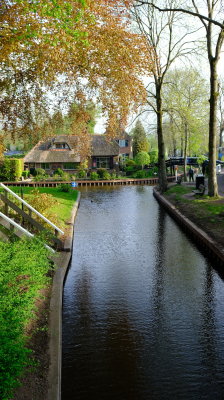 DSCF2774.JPG