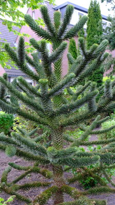 DSCF2803.JPG