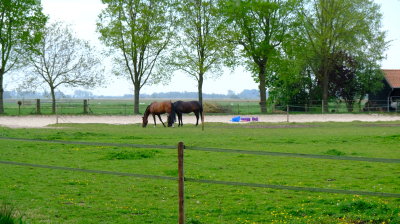 DSCF2839.JPG