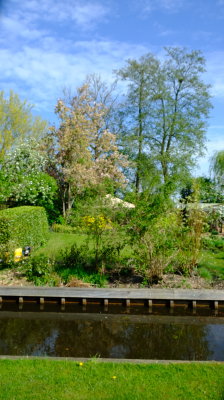 DSCF2856.JPG