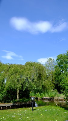 DSCF2870.JPG