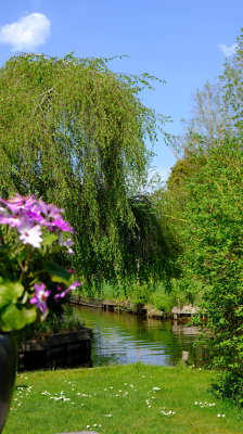 DSCF2881.JPG