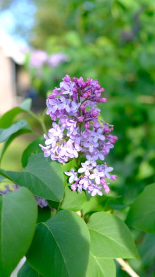 DSCF2945.JPG