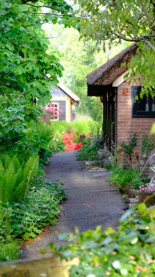 DSCF2947.JPG