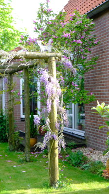 DSCF2985.JPG