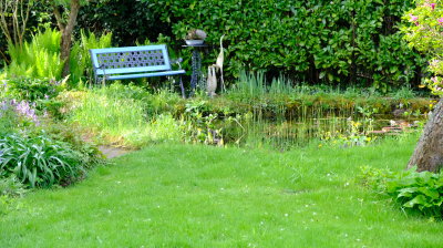 DSCF2986.JPG