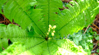 DSCF2993.JPG