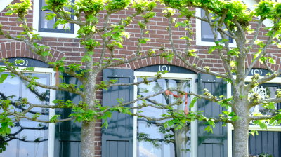 DSCF3032.JPG