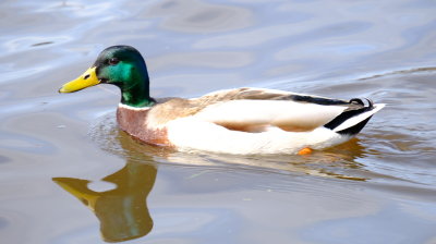 DSCF3033.JPG