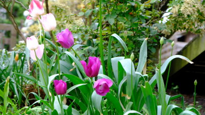 DSCF3067.JPG