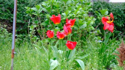 DSCF3071.JPG