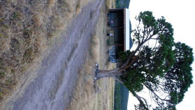 DSCF5574.JPG