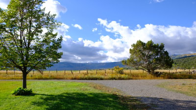 DSCF5596.JPG