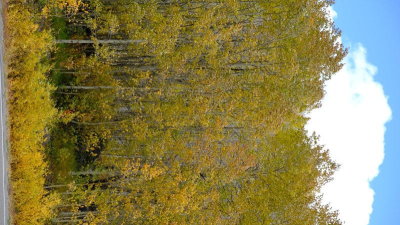 DSCF5666.JPG
