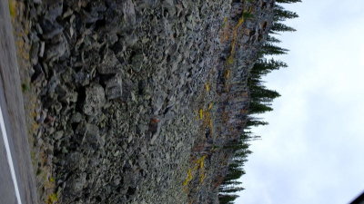 DSCF5670.JPG
