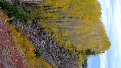 DSCF5672.JPG