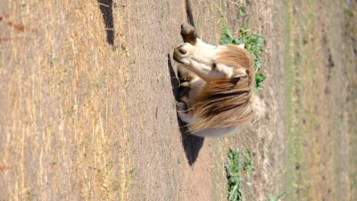 DSCF5808.JPG