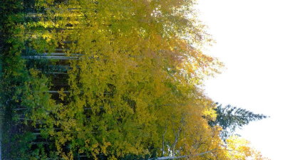 DSCF5882.JPG