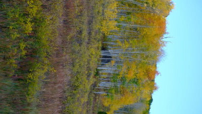 DSCF5912.JPG