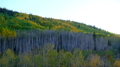 DSCF5913.JPG