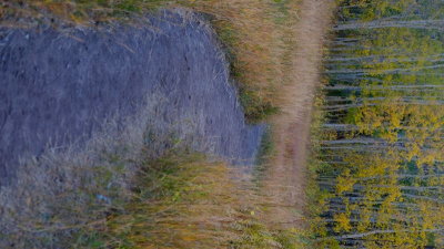 DSCF5914.JPG