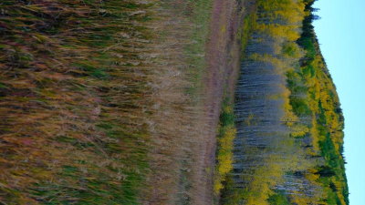 DSCF5916.JPG