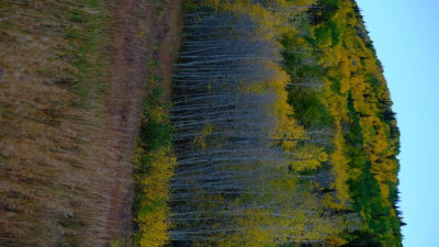 DSCF5917.JPG