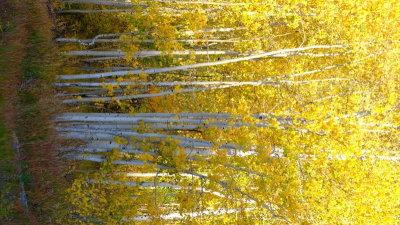DSCF5922.JPG
