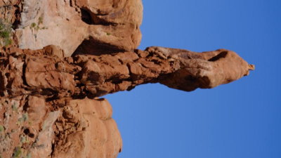 DSCF4732.JPG