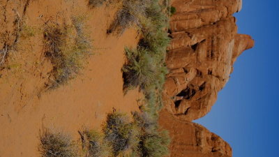 DSCF4746.JPG