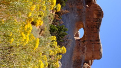 DSCF4747.JPG