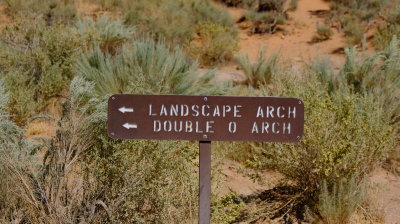 DSCF4752.JPG