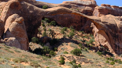 DSCF4755.JPG