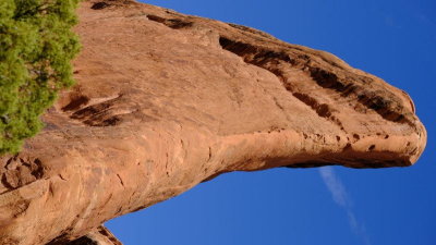 DSCF4770.JPG
