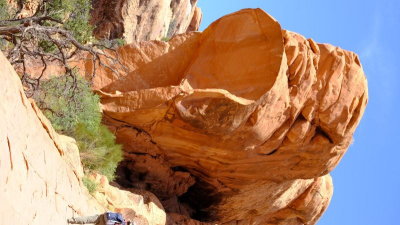 DSCF4773.JPG