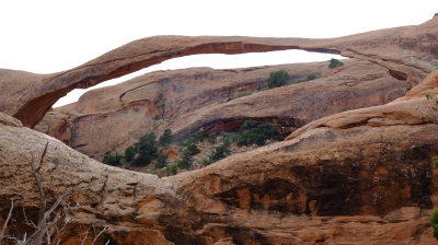 DSCF4859.JPG