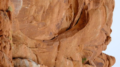 DSCF4888.JPG