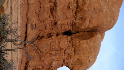 DSCF4952.JPG