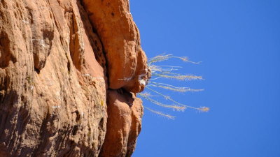 DSCF5382.JPG