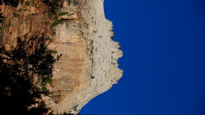 DSCF3849.JPG